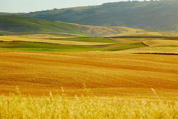 Tuscany hills Stock Photo