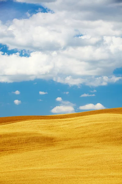 Typische toskanische Landschaft, Italien — Stockfoto