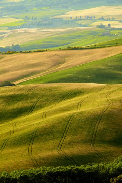 Paisagem na região da Toscana, Itália — Fotografia de Stock