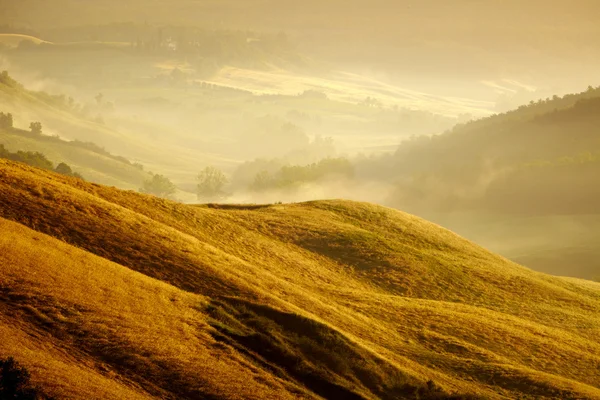 Toskánsku hills — Stock fotografie