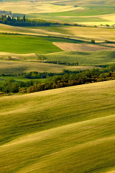 Utsikt över typiska Toscana landskap — Stockfoto