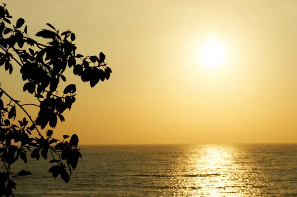 Waves and sunset in Goa in India — Stock Photo, Image