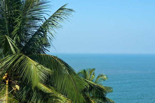 Экзотический, красивый и изолированный пляж с пальмовыми деревьями на переднем плане
