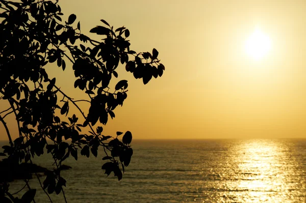Zonsondergang op het strand van goa, india — Stockfoto