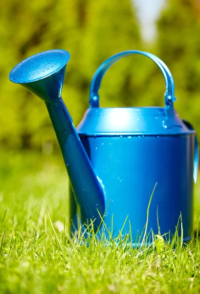 Regadera azul en el jardín — Foto de Stock