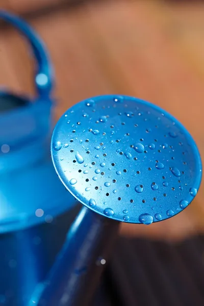 Blue watering can in garden — Stock Photo, Image