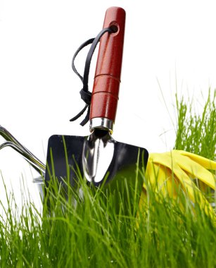 Tuingereedschap op wit