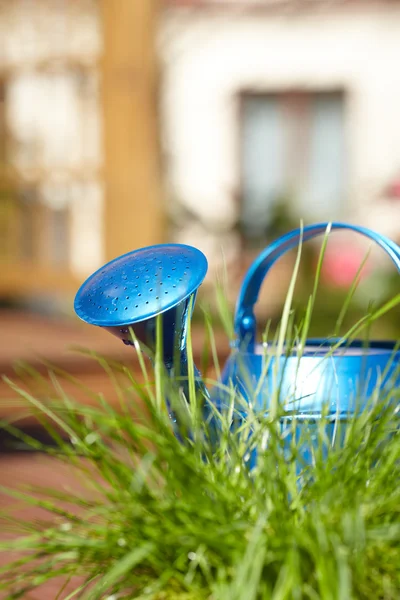 Blue watering can in garden — Stock Photo, Image