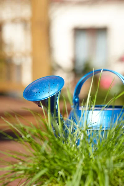 Annaffiatoio blu in giardino — Foto Stock