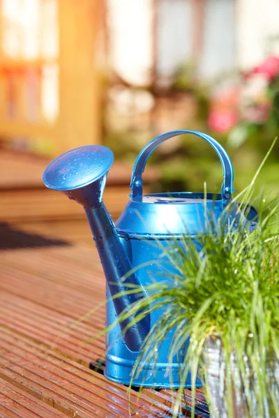 Regador azul no jardim — Fotografia de Stock