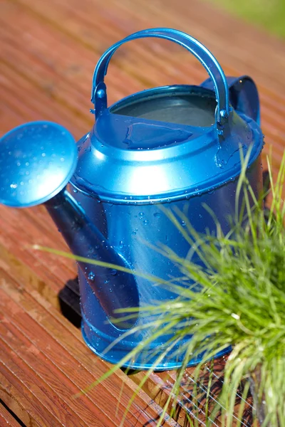 Blauwe gieter in tuin — Stockfoto