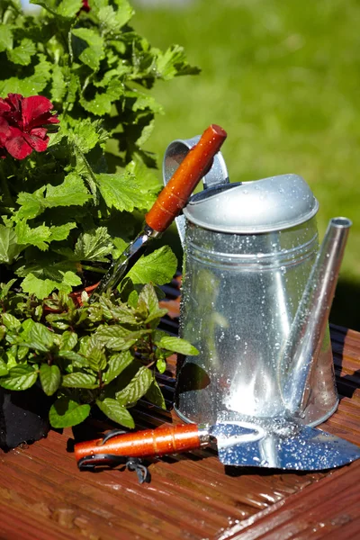 Attrezzi di giardinaggio all'aperto e fiori — Foto Stock