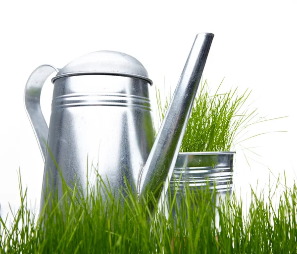園芸工具および草の白の水まき缶 — ストック写真