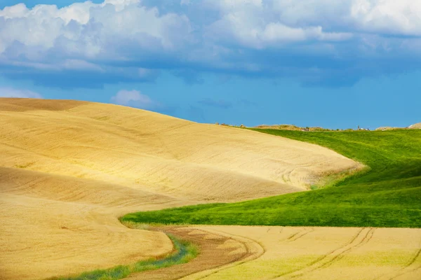 Scenic view of typical Tuscany landscape, Italy Stock Image