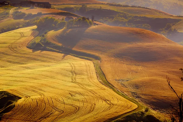 Vue panoramique sur le paysage toscan typique, Italie — Photo