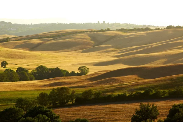 Landschappelijk uitzicht op het typische Toscaanse landschap, Italië — Stockfoto