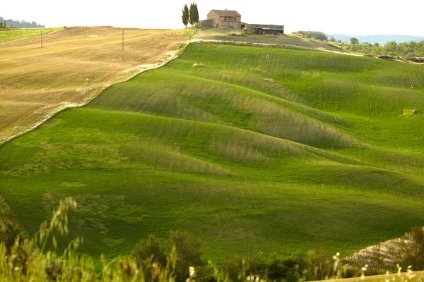 Varhainen aamu Toscanan maaseudulla — kuvapankkivalokuva