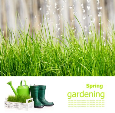 Bahçe pansiyon konsepti