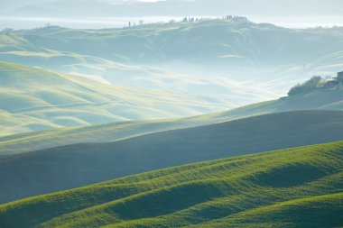kırsal, san quirico d'orcia, Toskana, İtalya