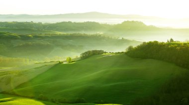 kırsal, san quirico d'orcia, Toskana, İtalya