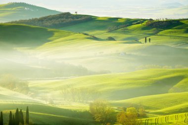 kırsal, san quirico d'orcia, Toskana, İtalya