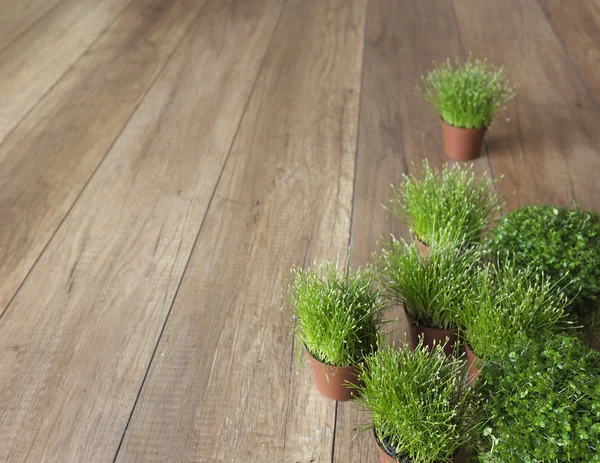 Hintergrund Frühjahrsgartenarbeit — Stockfoto