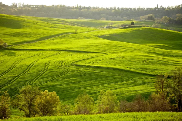 Landschaft, San Quirico d 'orcia, Toskana, Italien — Stockfoto