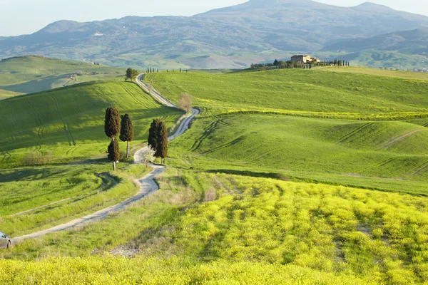 サン ・ クイリコ ・ ドルチャ、トスカーナ、イタリアの田舎 — ストック写真