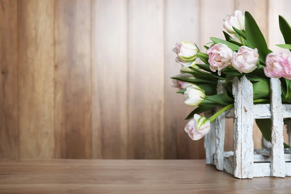 Jardinería de primavera — Foto de Stock