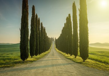 Tuscany, Landscape. Italy clipart