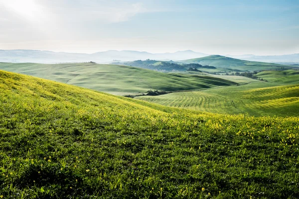 Temprano en el campo en Toscana — Foto de Stock