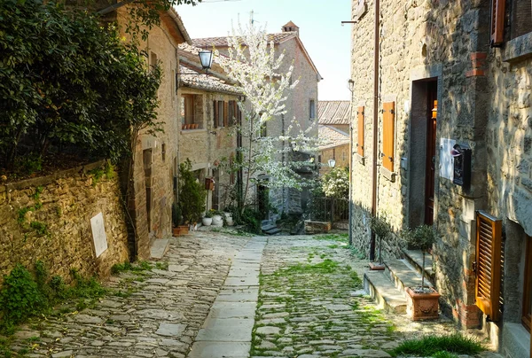 Italienische alte Straße. Toskana — Stockfoto