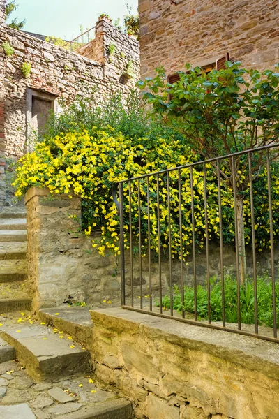 Italian old street . Tuscany — Stock Photo, Image