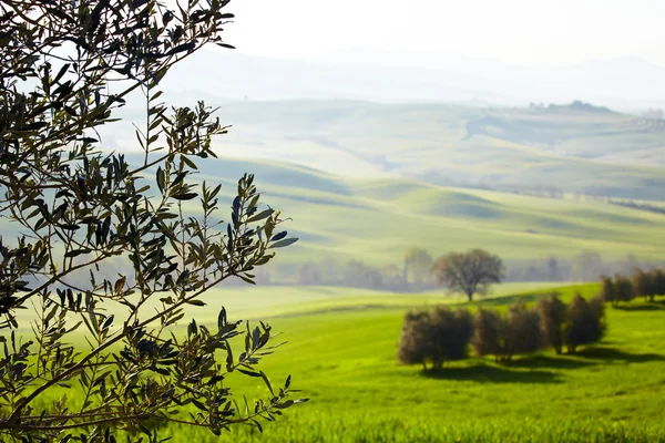 イタリア、トスカーナの田園地帯 — ストック写真