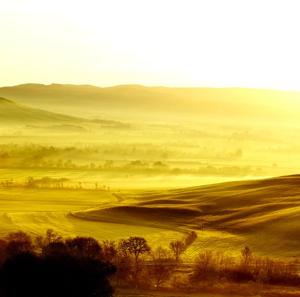 Mañana en el campo en Toscana —  Fotos de Stock