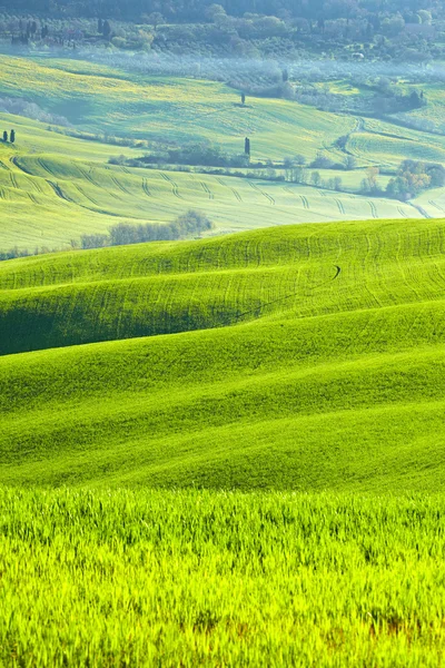 Manhã no campo na Toscana — Fotografia de Stock