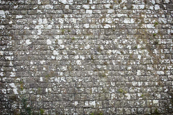 Old stone wall background — Stock Photo, Image