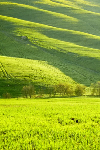 Ochtend op platteland in Toscane — Stockfoto