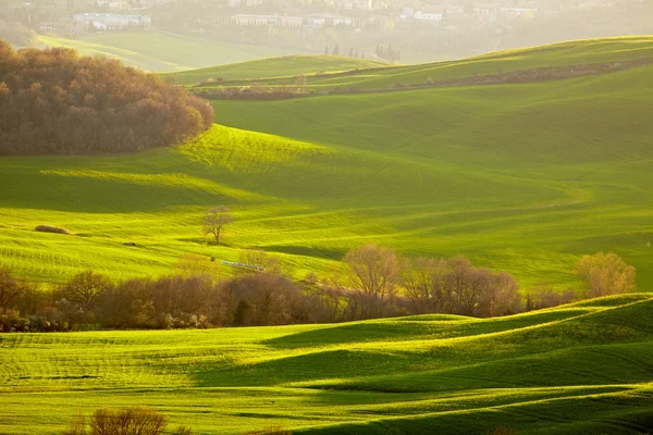 Tavaszi Tuscany — Stock Fotó