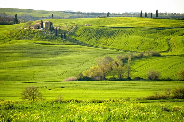 Manhã no campo na Toscana — Fotografia de Stock