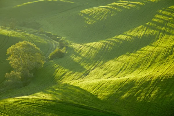 Hermoso paisaje toscano, Italia — Foto de Stock