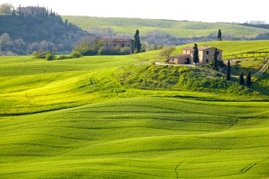 kırsal, san quirico orcia, Toskana, İtalya