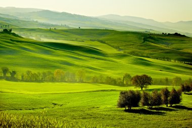 kırsal, san quirico orcia, Toskana, İtalya