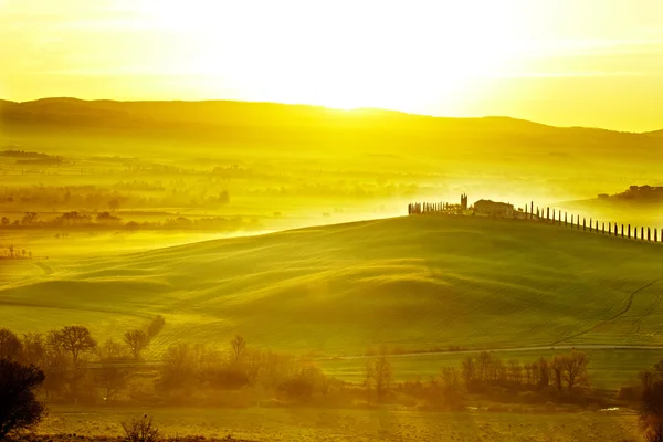 Campo, San Quirico Orcia, Toscana, Itália — Fotografia de Stock