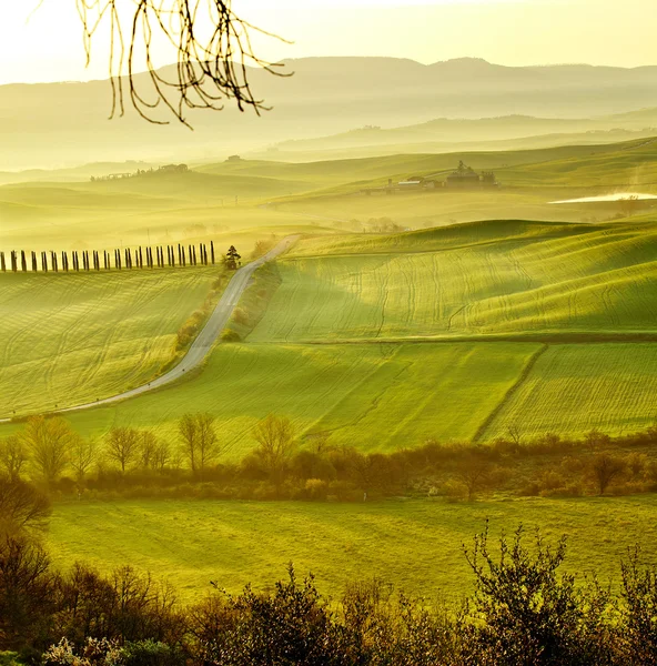 시골, 산 퀴리 코 오, 투 스 카 니, 이탈리아 — 스톡 사진
