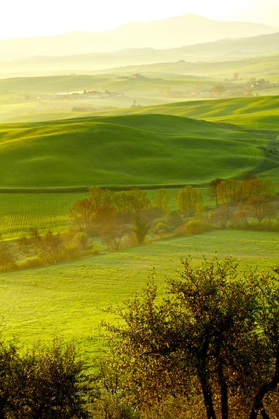 Countryside, San Quirico Orcia, Tuscany, Italy — стоковое фото