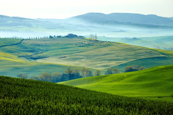 农村，san quirico orcia，托斯卡纳意大利 — 图库照片