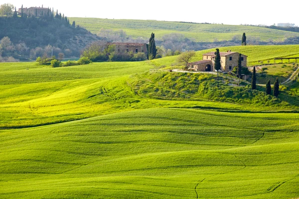 Venkov, san quirico orcia, Toskánsko, Itálie — Stock fotografie