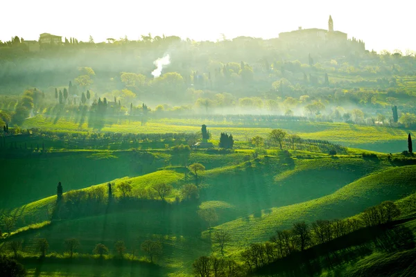 Campo, San Quirico Orcia, Toscana, Itália — Fotografia de Stock