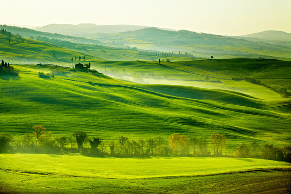 Countryside, San Quirico Orcia , Tuscany, Italy